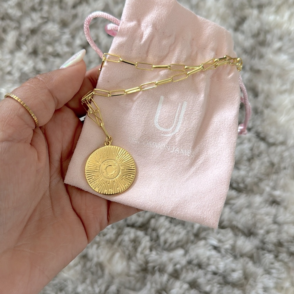 Brand New Uncommon James Paperclip Gold Necklace